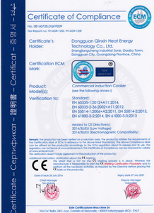 CE Certificate