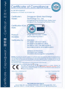 CE Certificate
