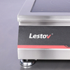 Double Burners Industrial Induction Cooker with Pasta Boiler LT-BII+B300+ZML