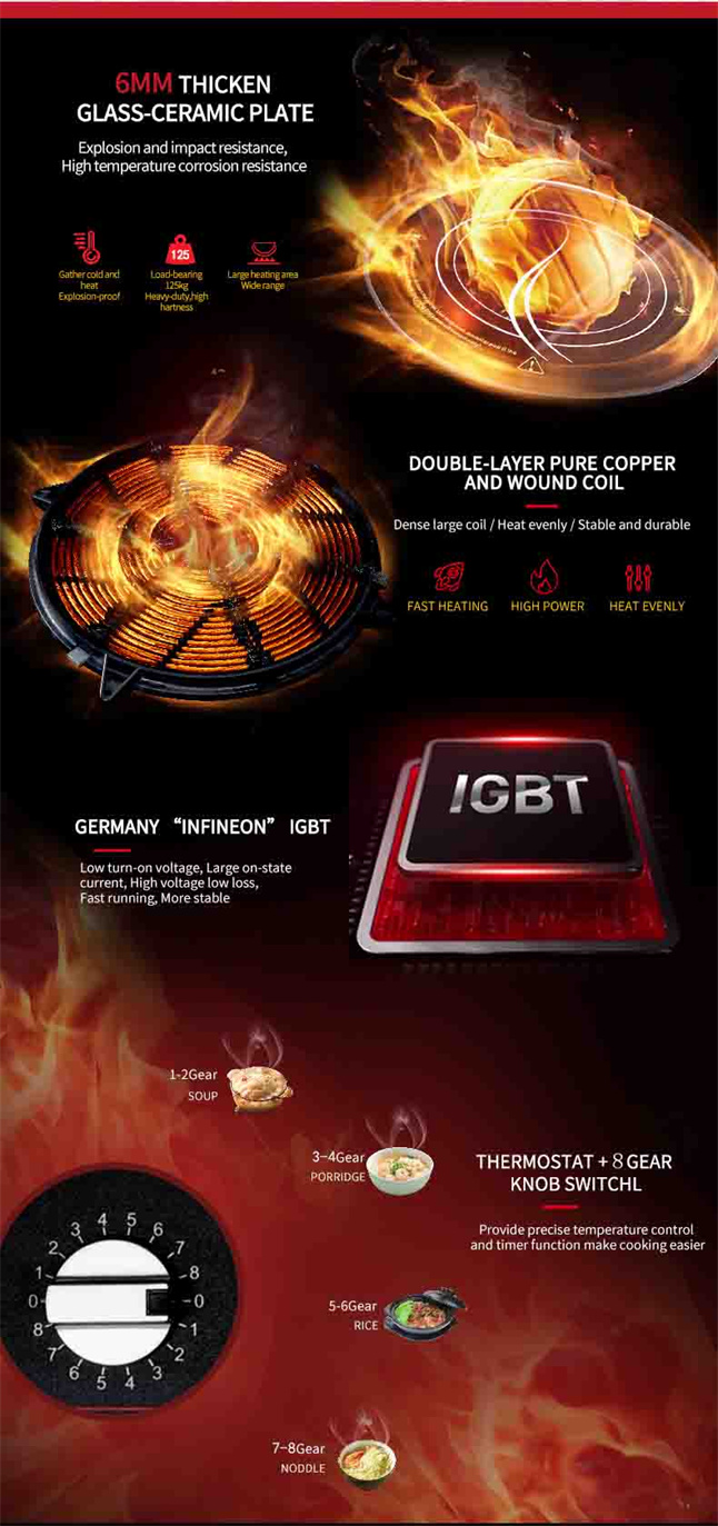 the-core-part-of-Lestov-commercial-induction-hob (1)