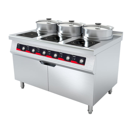 6 Burners Professional Induction Hob with Soup Boiler LT-D300VI-B105