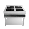 2 Burner Commercial Induction Cooktop With Electric Stove LT-B300II+DTLII